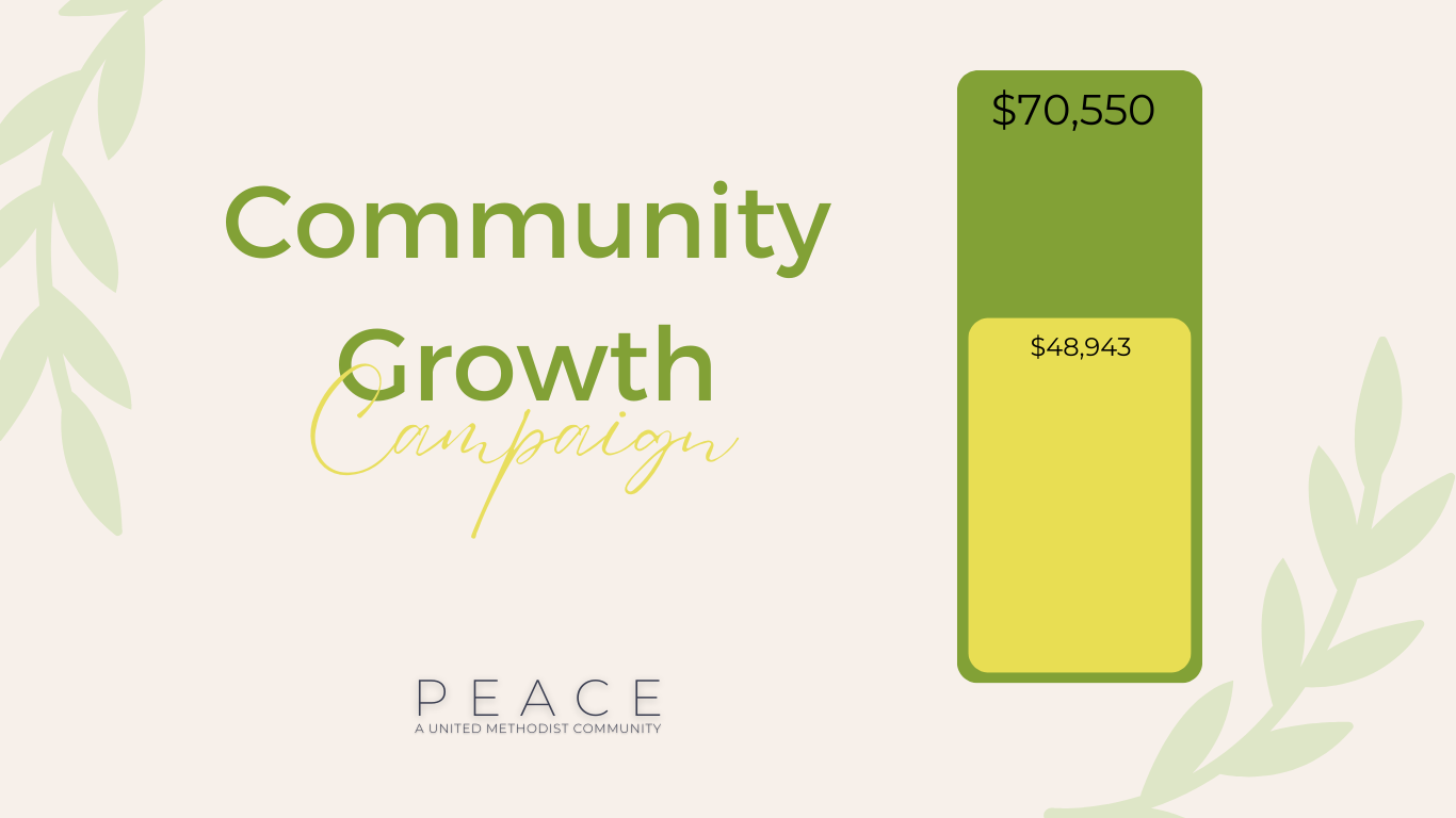 community growth fund